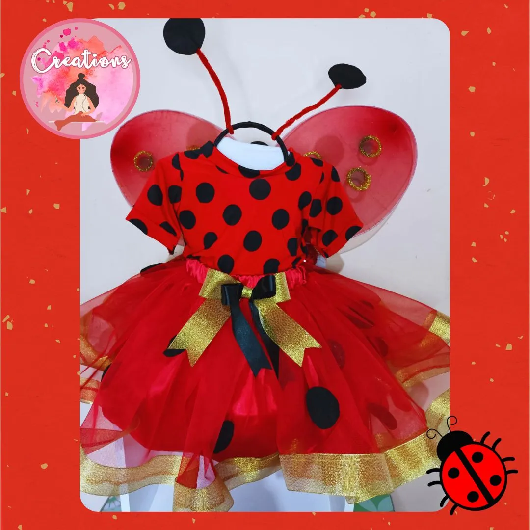 Conjunto de mariquita 
